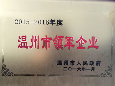 2015-2016年度温州市领军企业